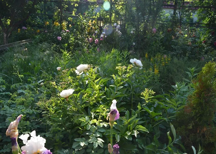 Otel корсар:korsar