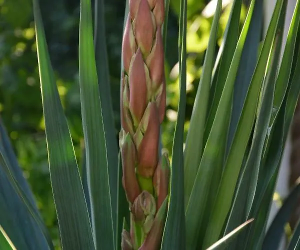 Otel корсар:korsar