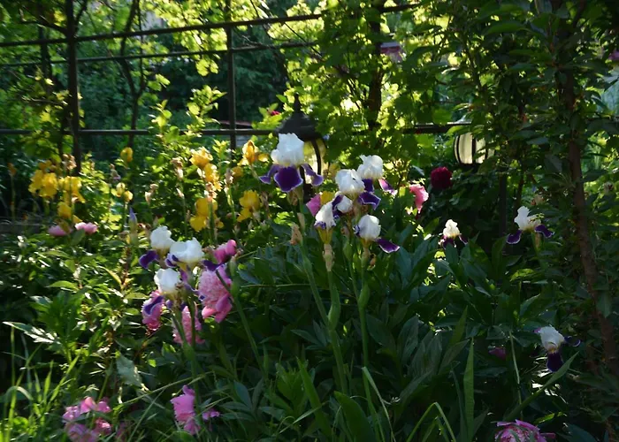 корсар:korsar מלון אודסה