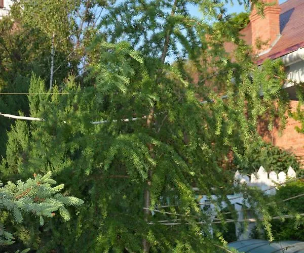 корсар:korsar מלון