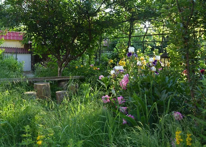 מלון корсар:korsar 3*