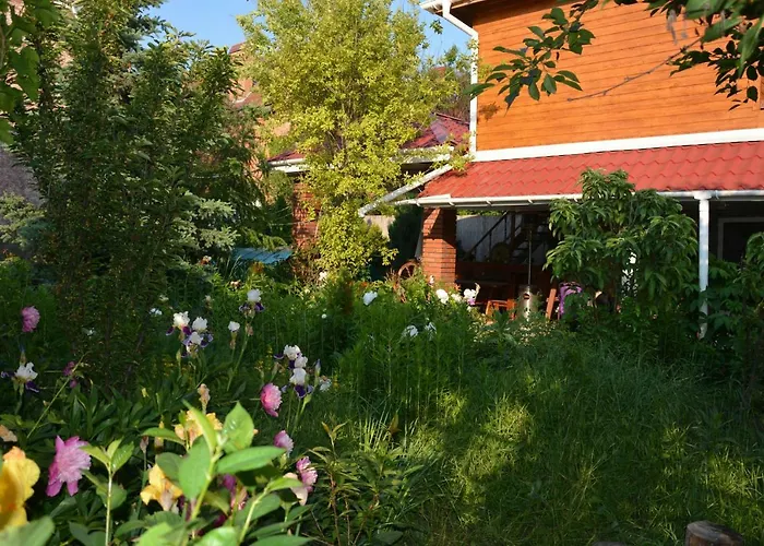 Otel корсар:korsar