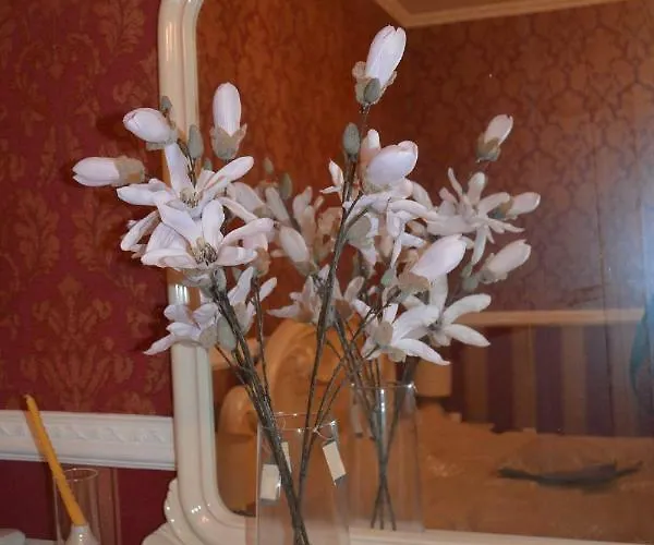 корсар:korsar 3*