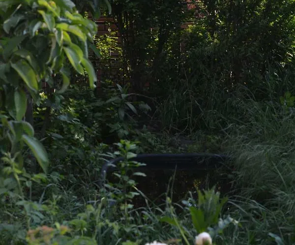 корсар:korsar מלון