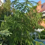 корсар:korsar Ξενοδοχείο